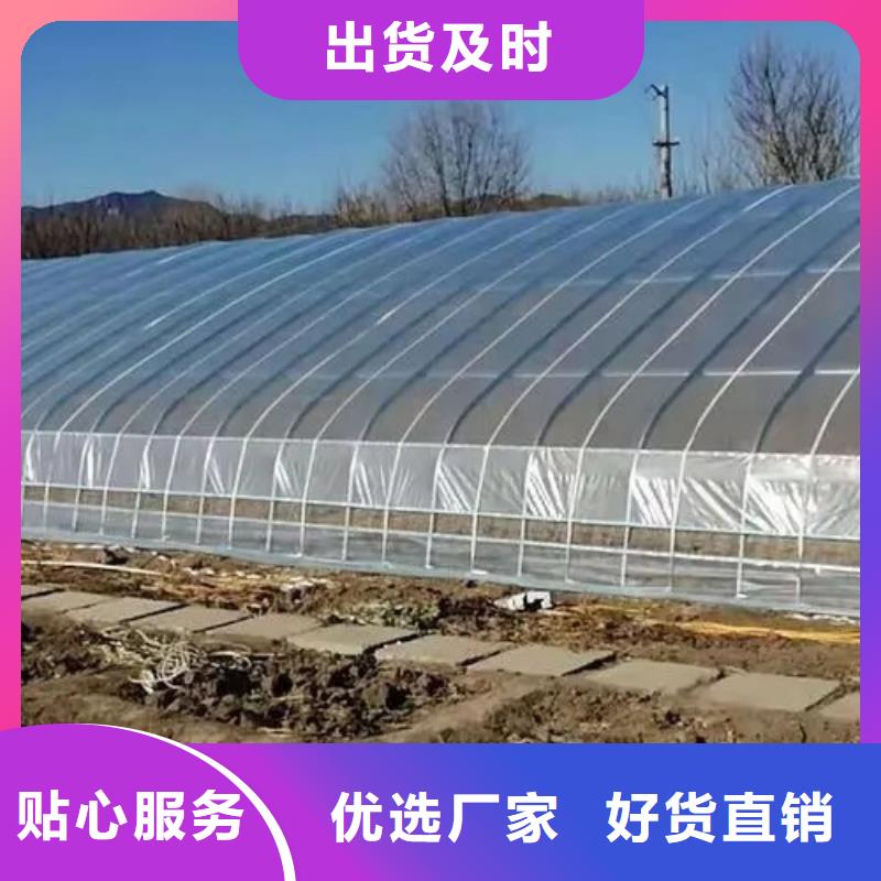 葡萄避雨大棚管出厂价格