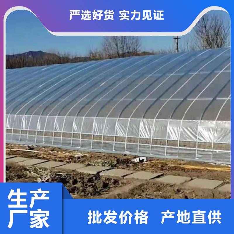 成武县养殖大棚管品牌厂家