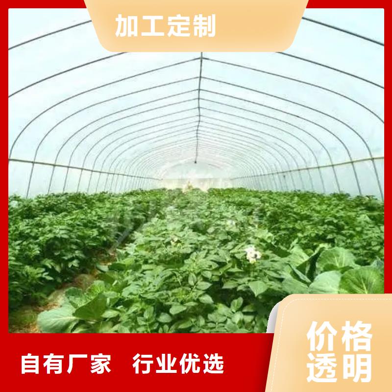 靖安县塑料温室连栋大棚造价靠谱厂家2025-8-28