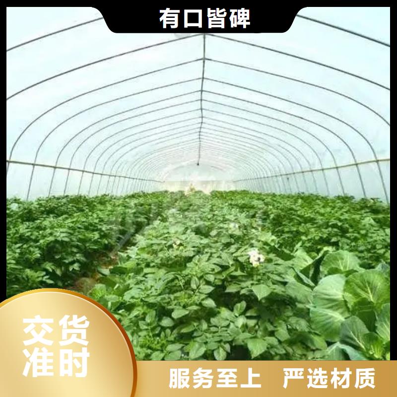 元坝区热镀锌大棚厂家诚信厂家