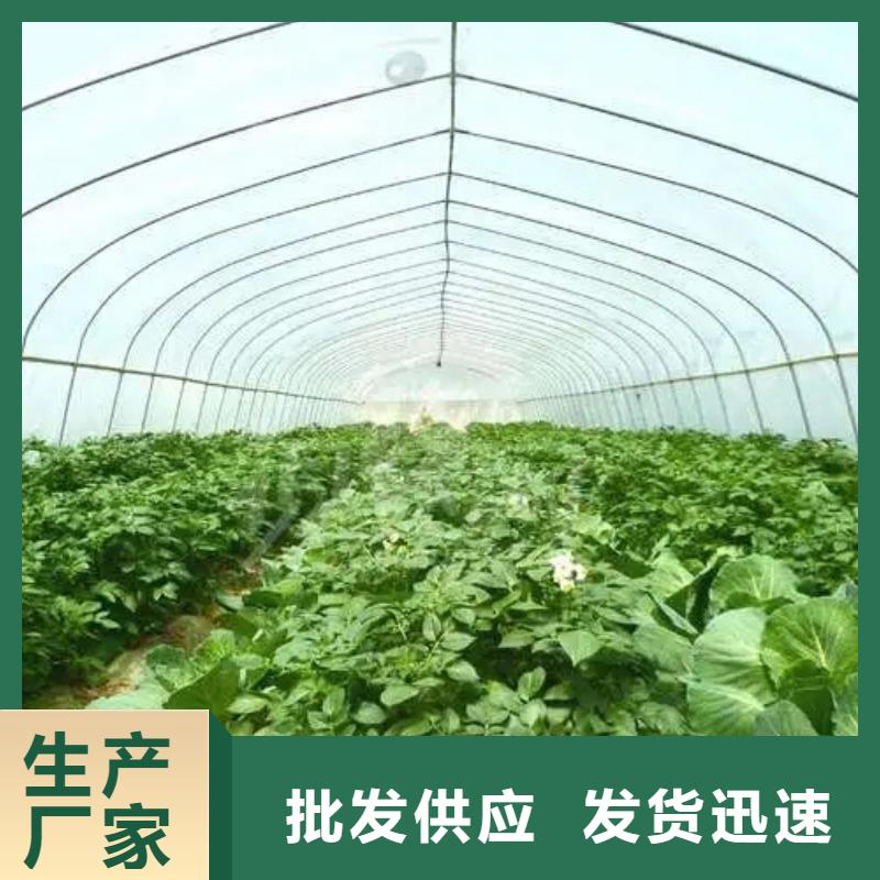 养殖大棚椭圆管厂家报价