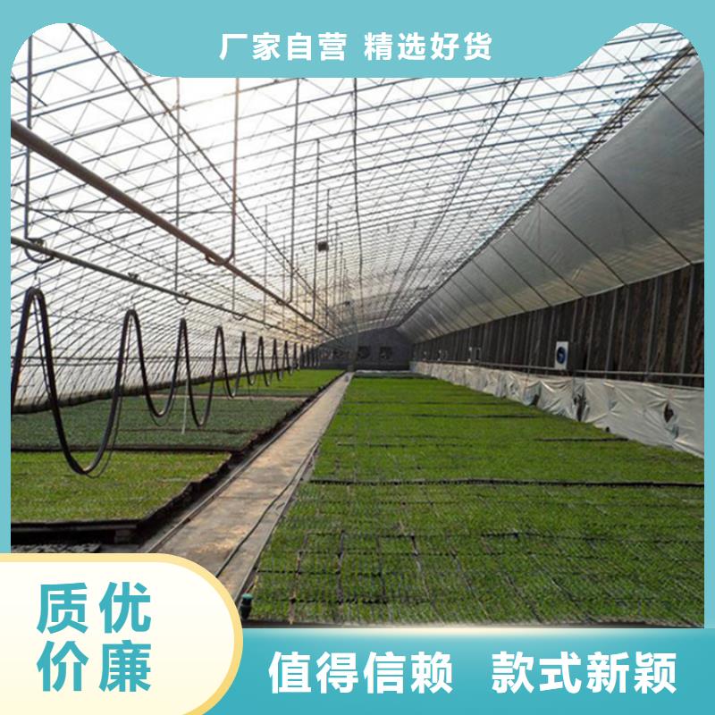 连栋大棚温室批发现货价格2025-8-28