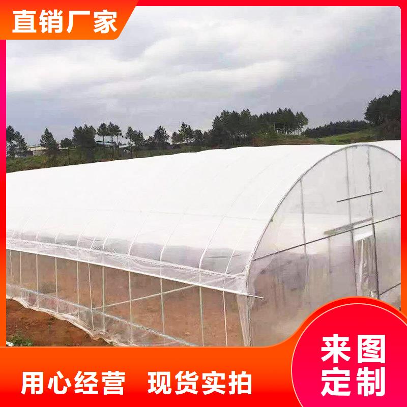 莲华镇蔬菜大棚6米8米【修饰词