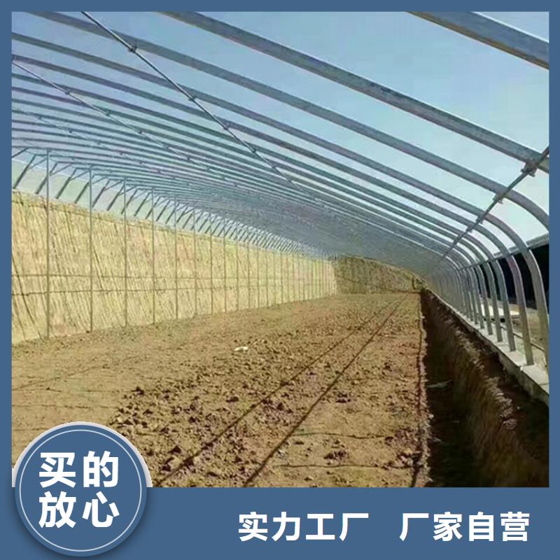 枣强县草莓西瓜擦地棚现货供应