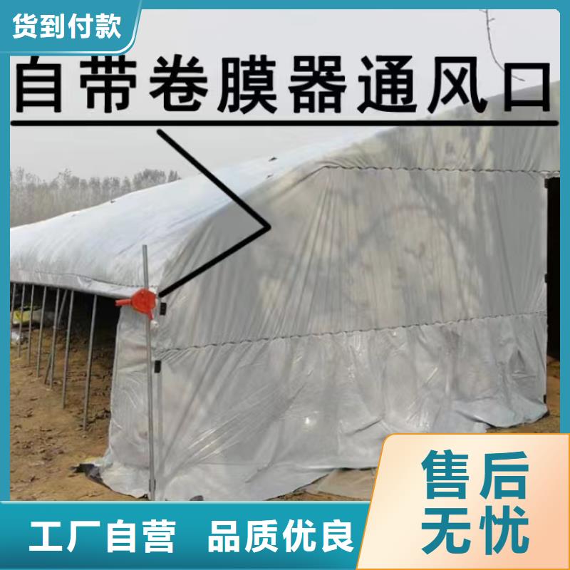 杨梅单体大棚源头厂家免费指导