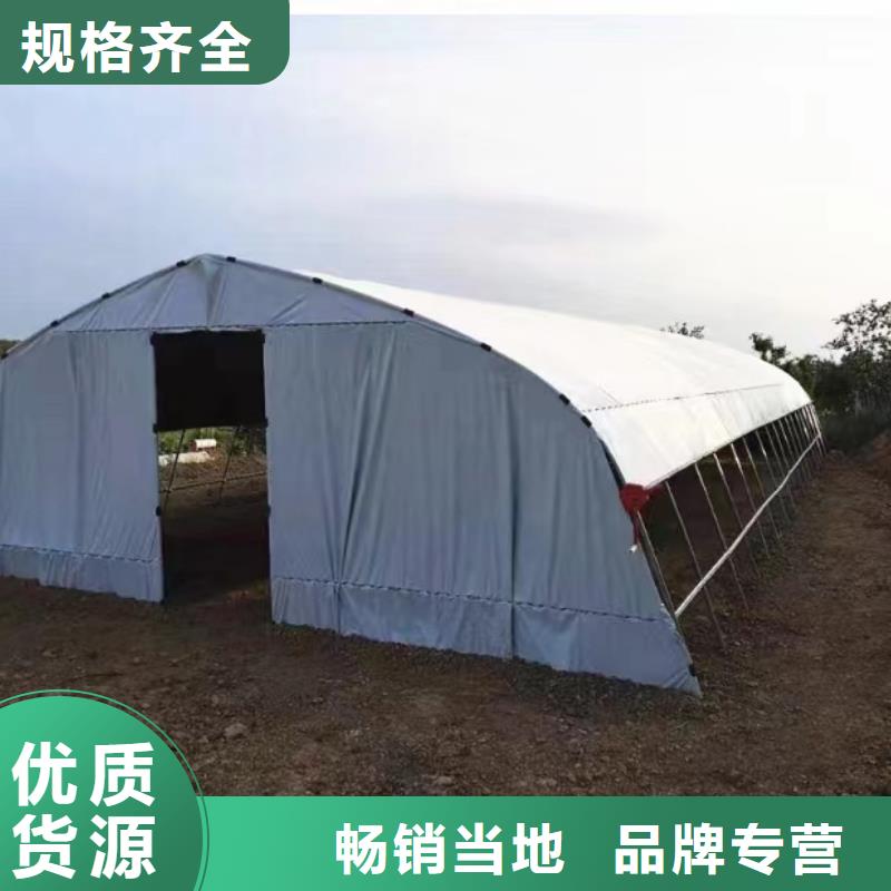 连栋温室大棚图片价格透明