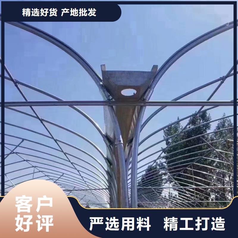 芮城县单体大棚品牌厂家