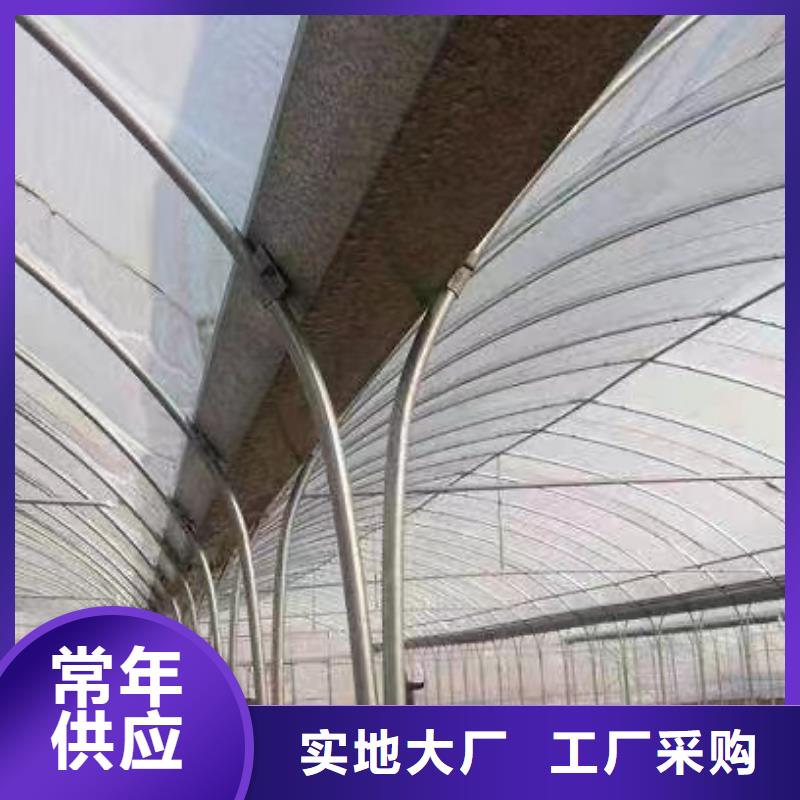 利得进口黑白膜出厂价格2025乡村振兴计划