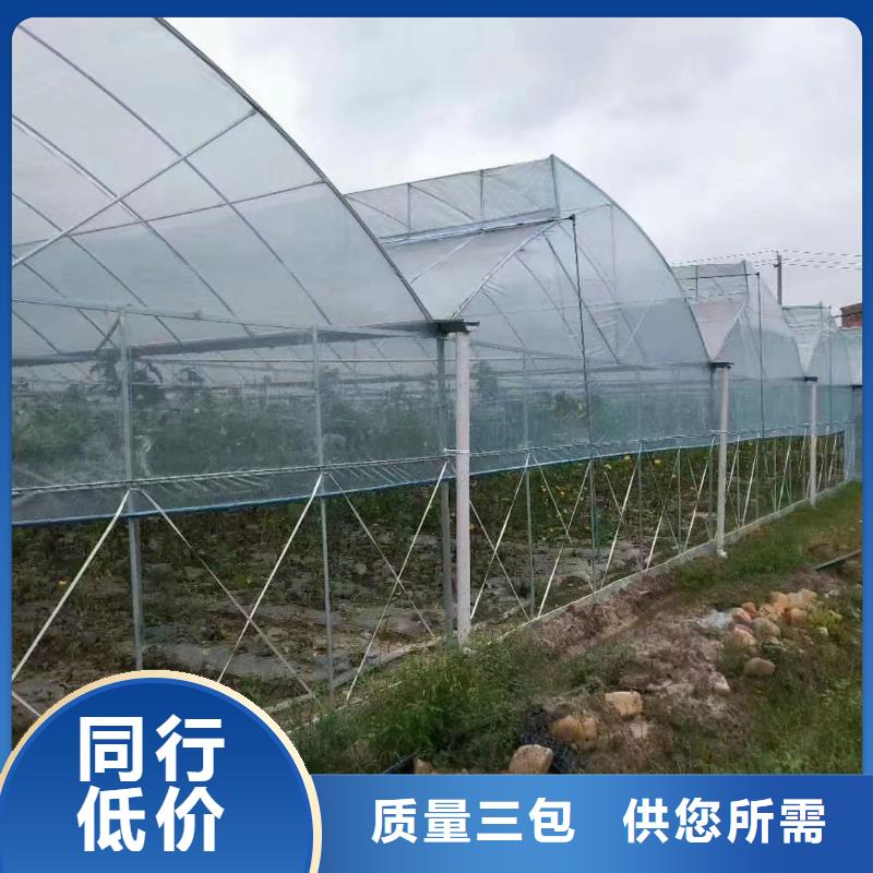 宝应县养殖大棚管品牌厂家