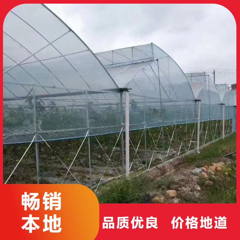 育苗连栋大棚本地厂家免费指导