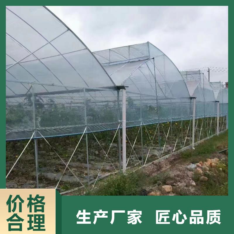 嘉禾县连栋温室大棚生产基地