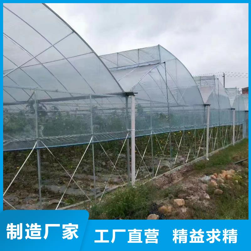 曲江区6米蔬菜大棚管直销价格【其