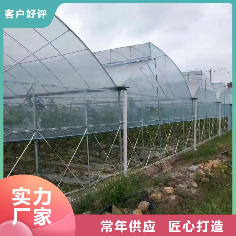 养殖大棚椭圆管厂家报价