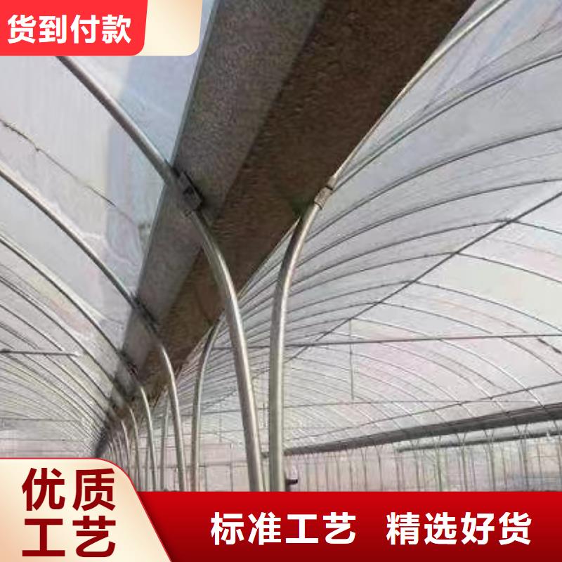 双清区GP8432连体大棚诚信厂家2025--09