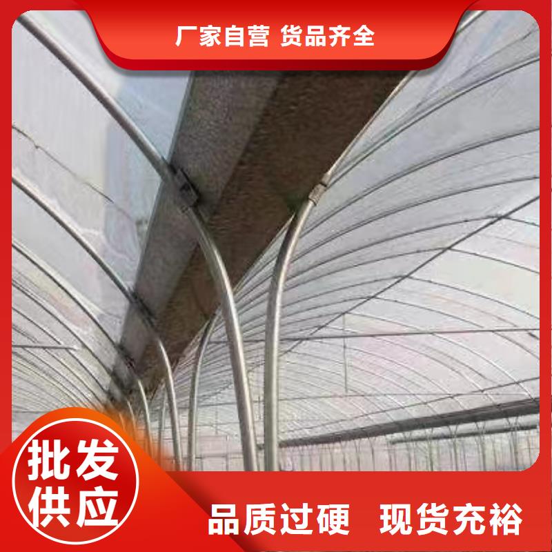 杨梅大棚管定制价格金荣圣大棚