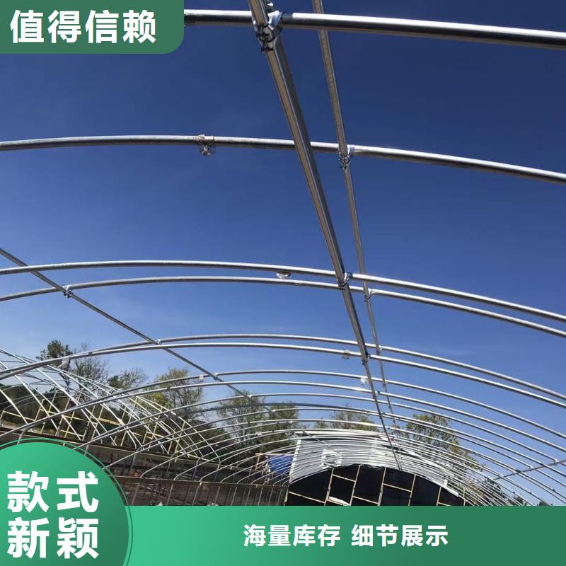 莲华镇蔬菜大棚6米8米【修饰词