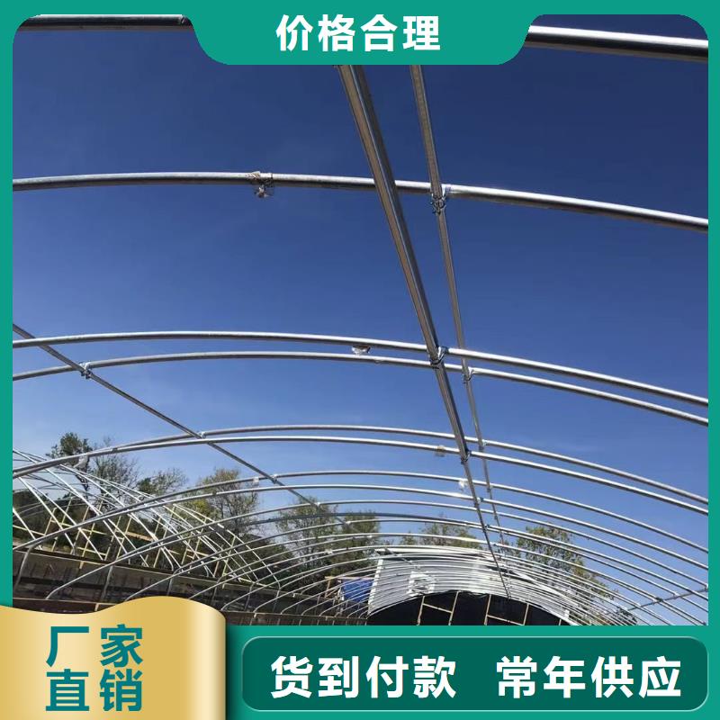 双清区GP8432连体大棚诚信厂家2025--09