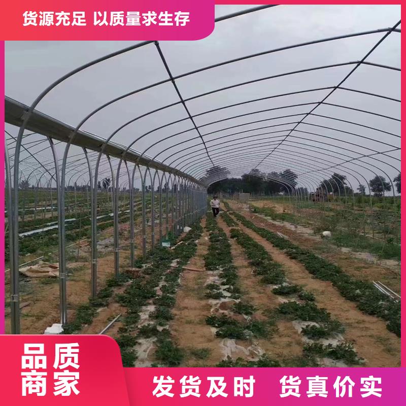 盈江县西瓜大棚卡槽规格齐全2025--7