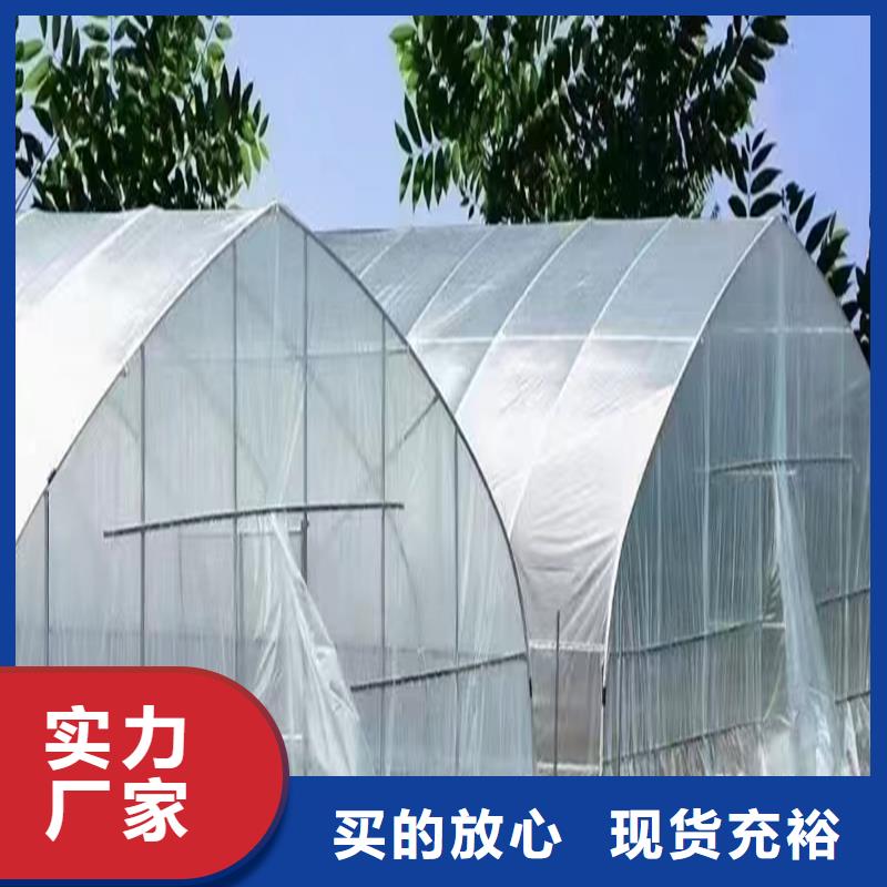 石鼓区养殖大棚椭圆管厂家报价