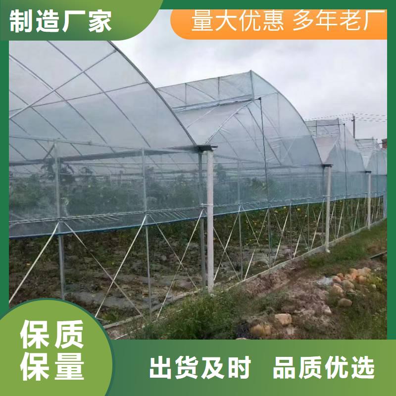 芮城县单体大棚品牌厂家