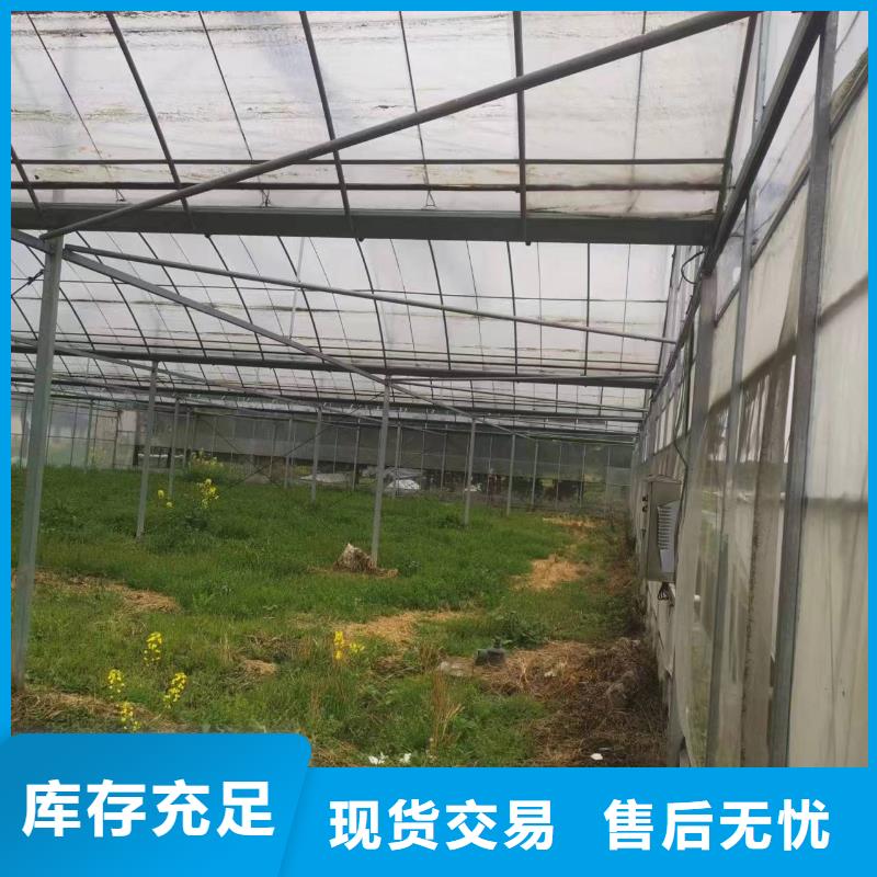 靖安县塑料温室连栋大棚造价靠谱厂家2025-8-28