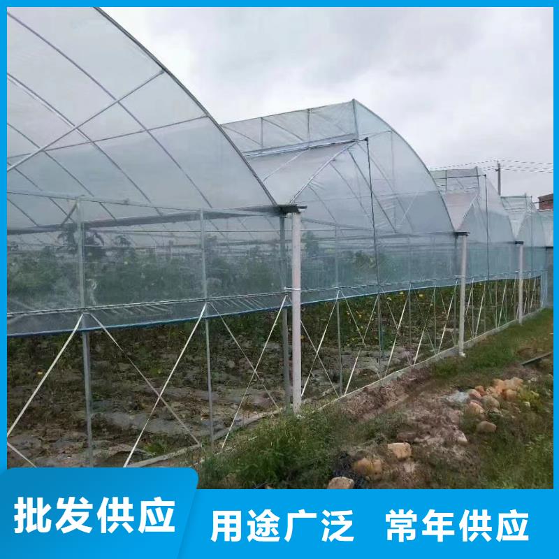 草莓温室大棚厂家价格免费指导