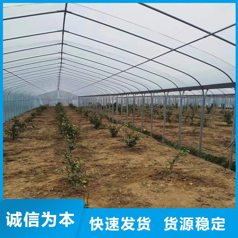 大棚铝合金卡槽卡簧在线咨询