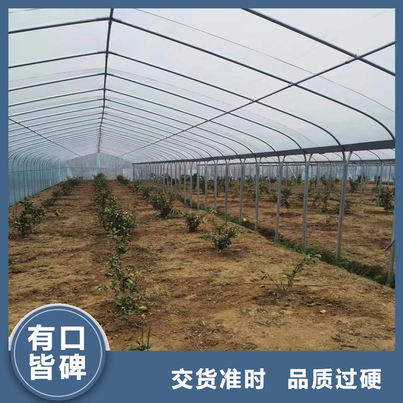 温室连栋大棚施工安装【修饰词