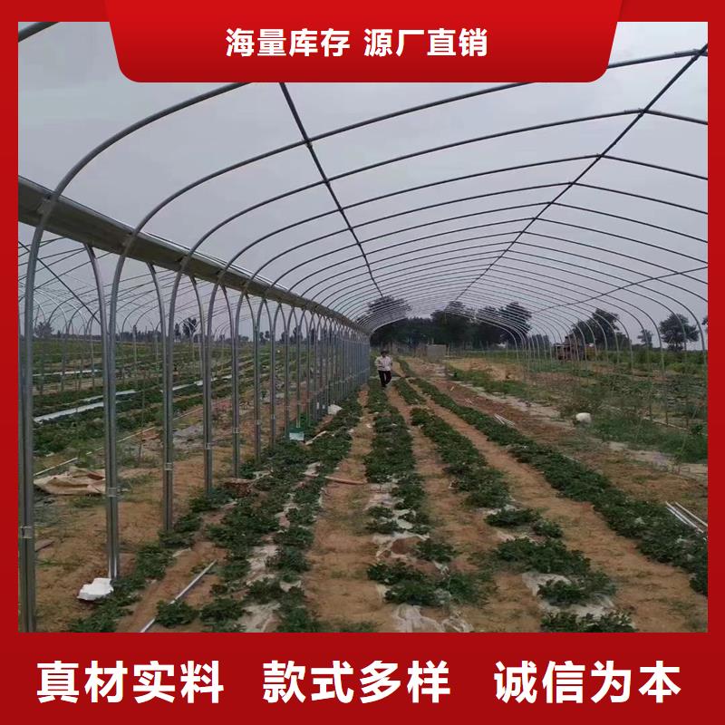 连体大棚管实力厂家