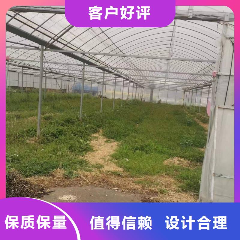 大棚配件十字扣件欢迎电询