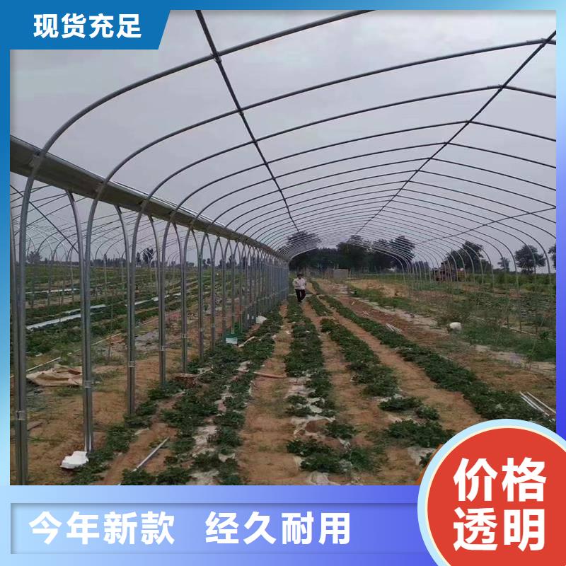 麻江县养殖大棚管实体厂家