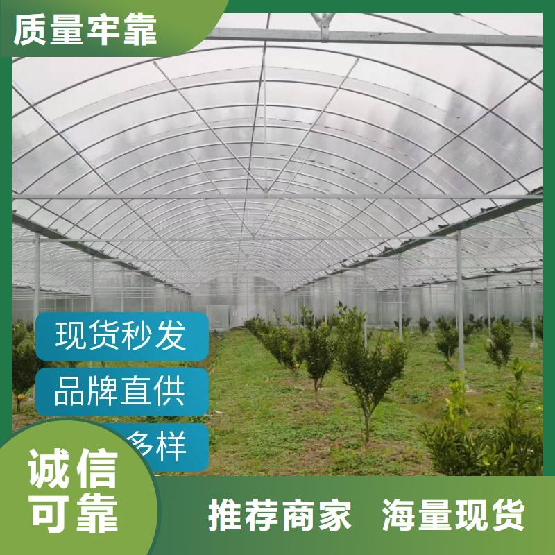 闻喜县水产养殖大棚实体厂家