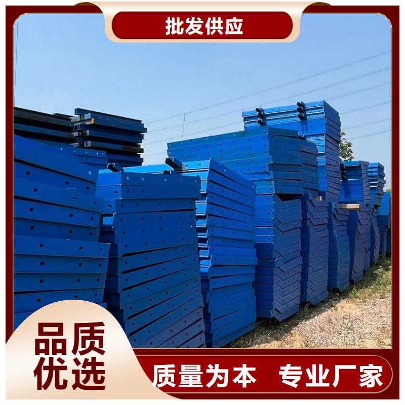 钢模板出租桥梁建设用西安红力机械