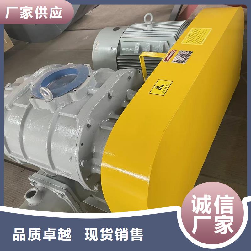 效率高两叶罗茨风机LFSR125