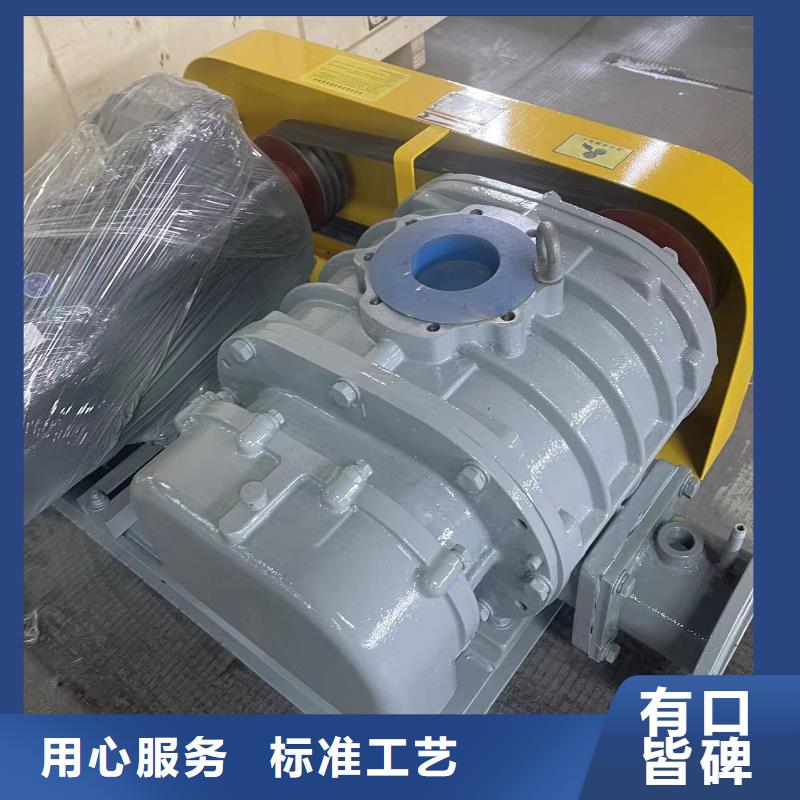 山东临风科技股份罗茨鼓风机LFSR100