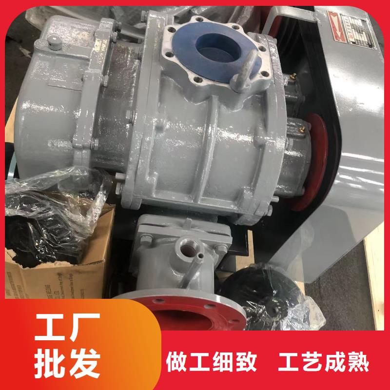 山东临风科技股份有限公司洗煤专用罗茨风机LFSR300