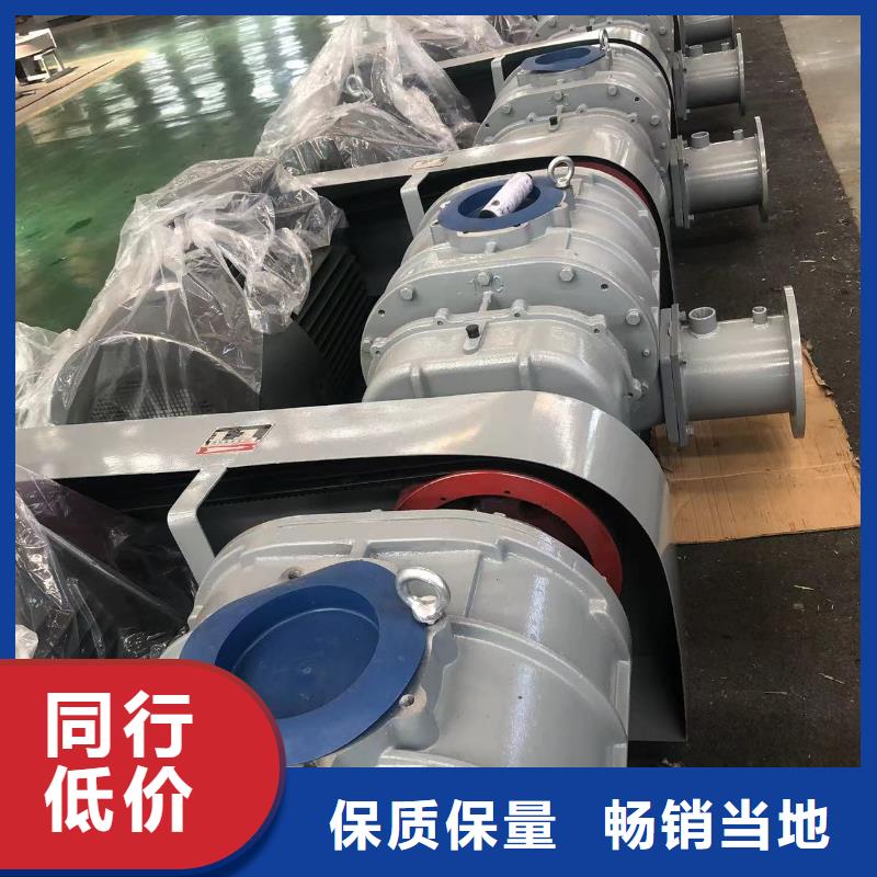 山东临风科技股份罗茨鼓风机LFSR80