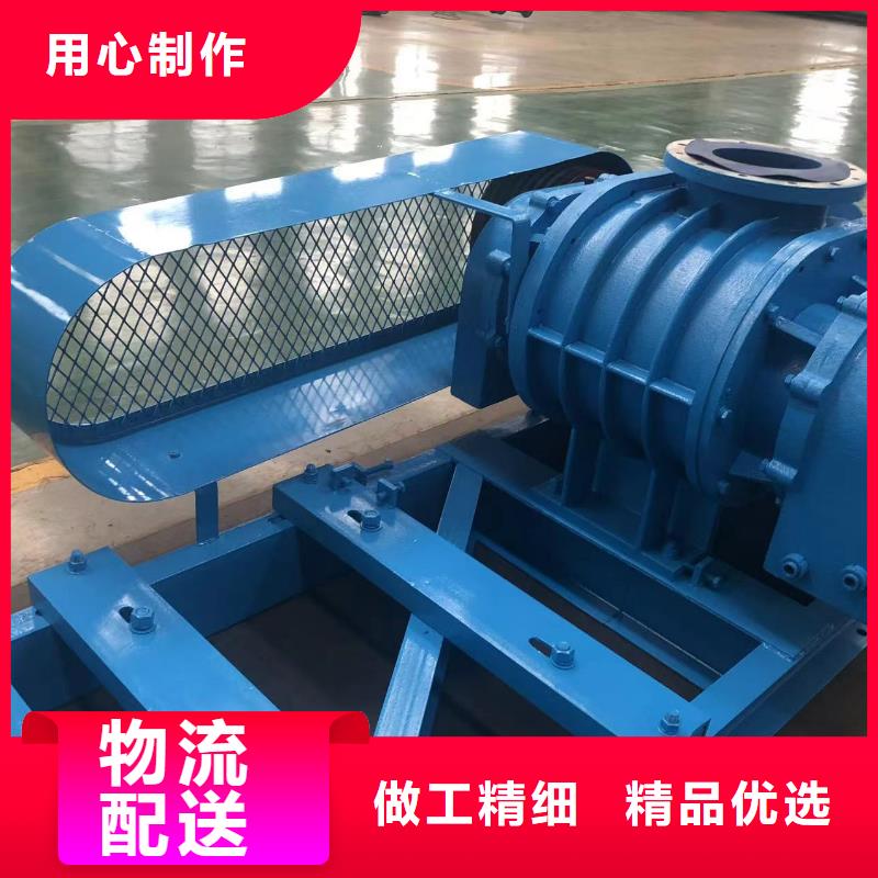 每日三叶罗茨鼓风机LFSR200