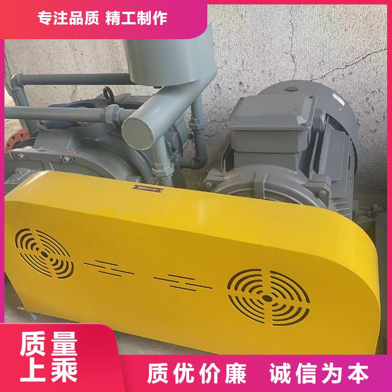 山东临风科技股份罗茨鼓风机LFSR80
