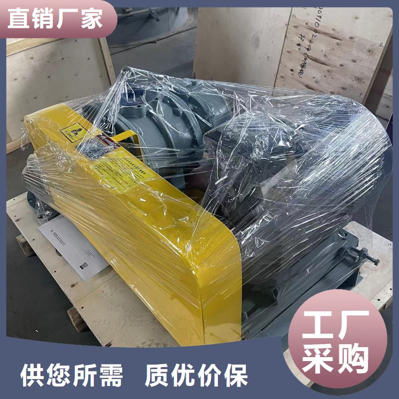 山东临风科技股份罗茨鼓风机LFSR100