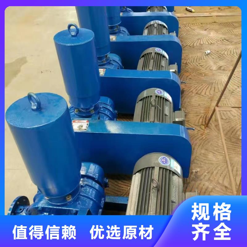 山东临风科技股份有限公司洗煤专用罗茨风机LFSR300