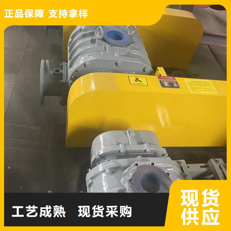 山东临风科技股份有限公司L系列罗茨风机LFSR250