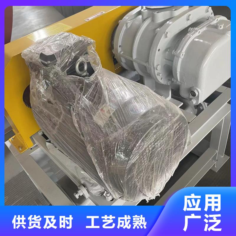 山东临风科技股份有限公司洗煤专用罗茨风机LFSR300