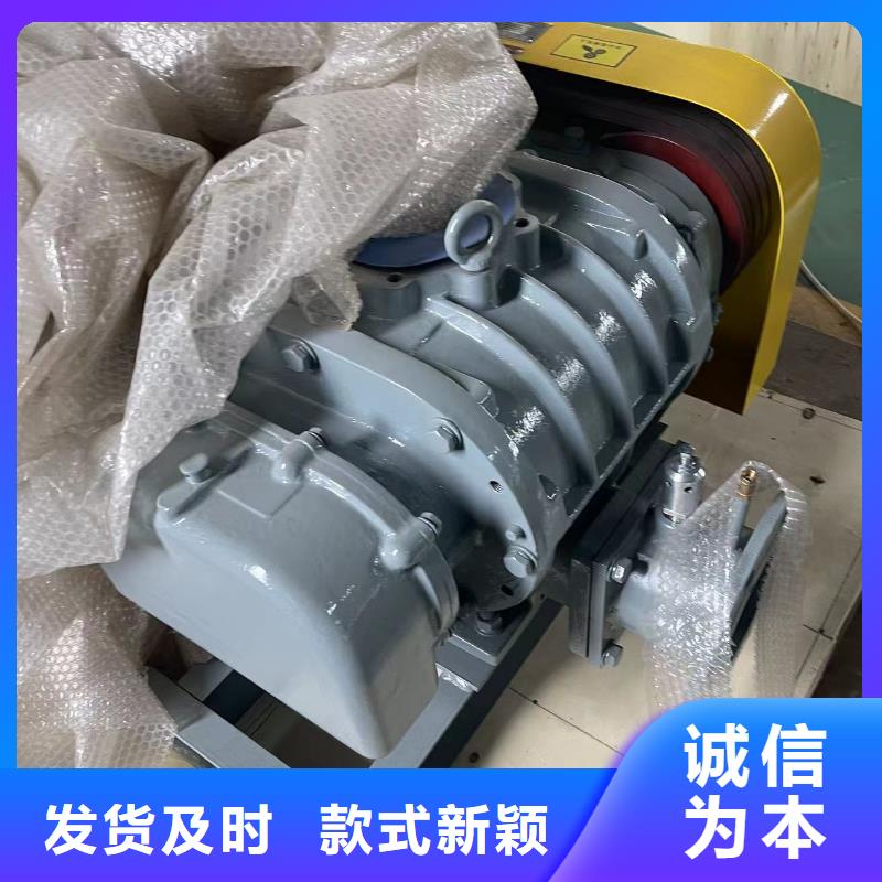 效率高两叶罗茨风机LFSR125