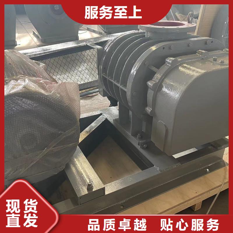 每日三叶罗茨鼓风机LFSR200