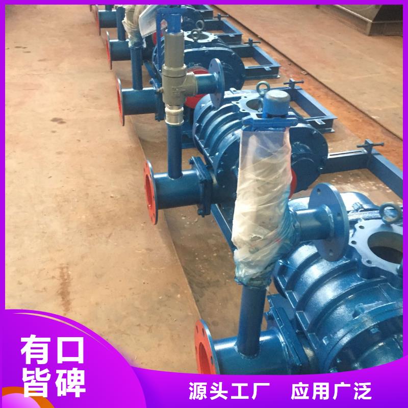 效率高两叶罗茨风机LFSR125