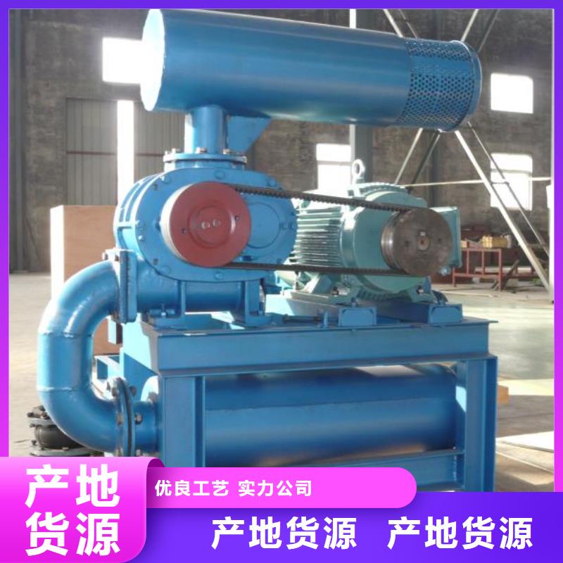 每日三叶罗茨鼓风机LFSR150