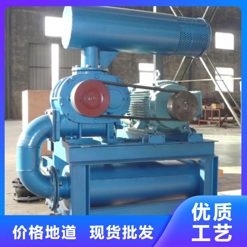 效率高两叶罗茨风机LFSR125