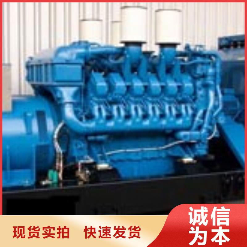低压发电机租赁合资品牌品牌保障