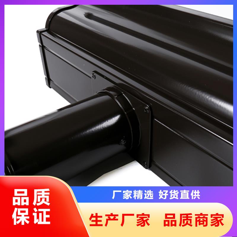 泸水县天沟和檐沟种类齐全
